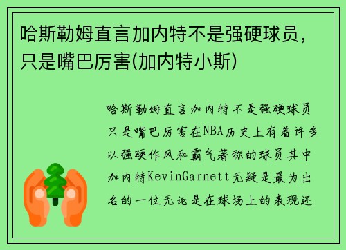 哈斯勒姆直言加内特不是强硬球员，只是嘴巴厉害(加内特小斯)
