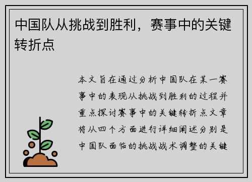 中国队从挑战到胜利，赛事中的关键转折点