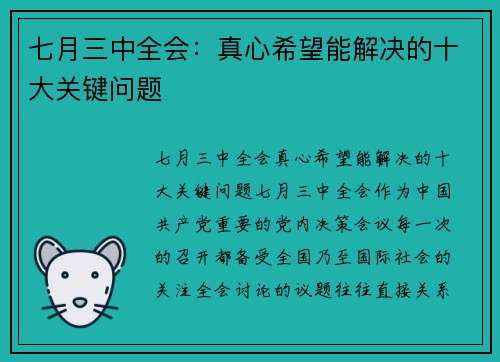 七月三中全会：真心希望能解决的十大关键问题