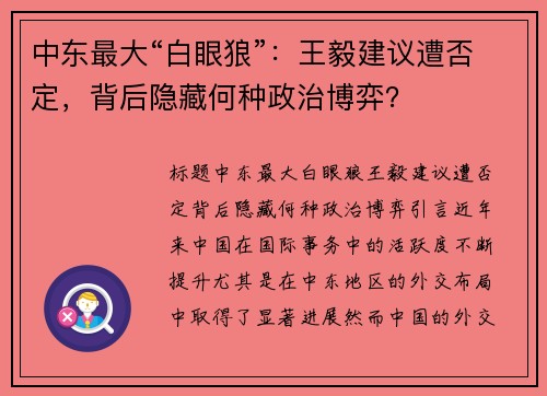 中东最大“白眼狼”：王毅建议遭否定，背后隐藏何种政治博弈？
