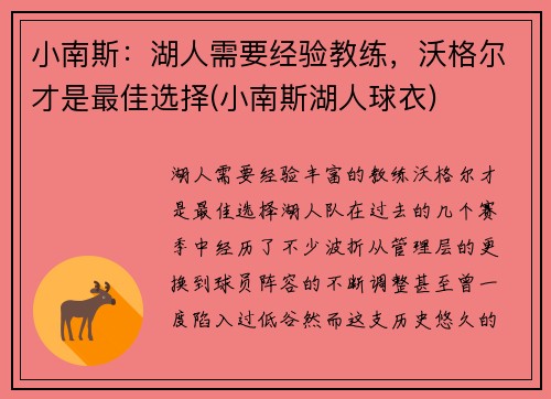 小南斯：湖人需要经验教练，沃格尔才是最佳选择(小南斯湖人球衣)