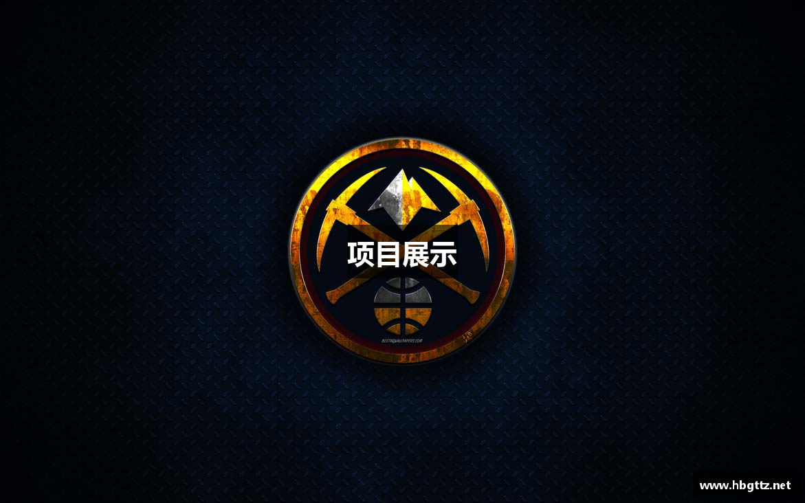 项目展示